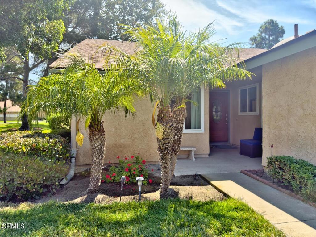 MLS #V1-31651 image #10