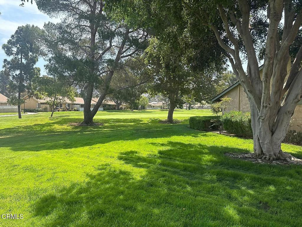 MLS #V1-31651 image #11