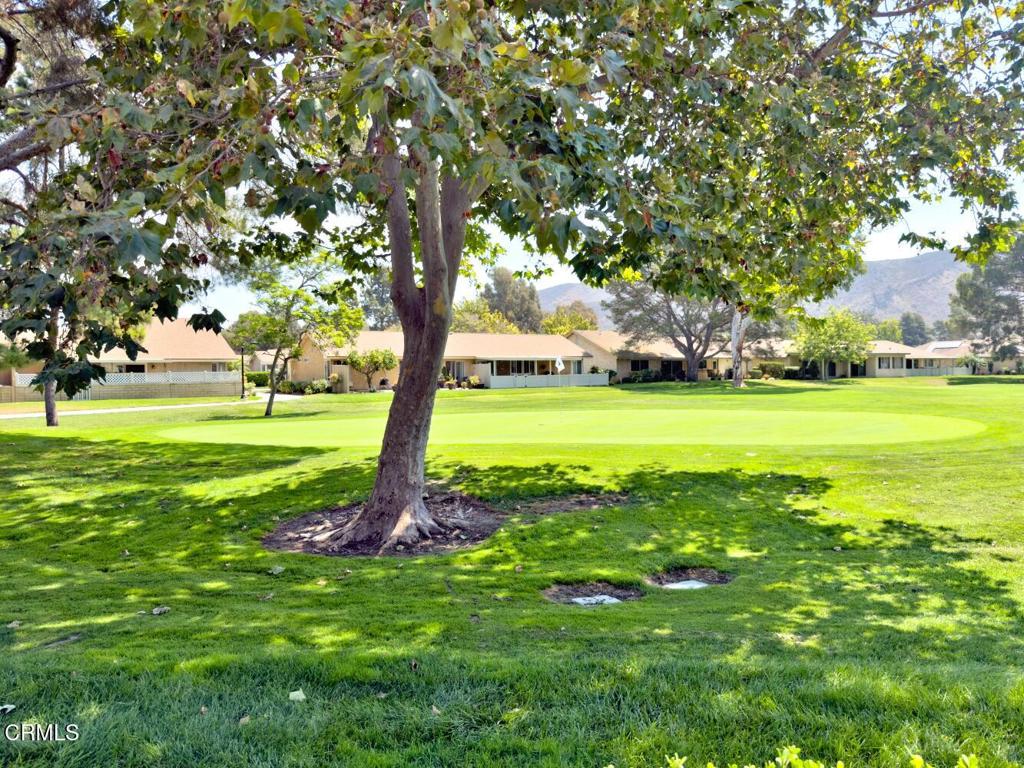 MLS #V1-31651 image #40