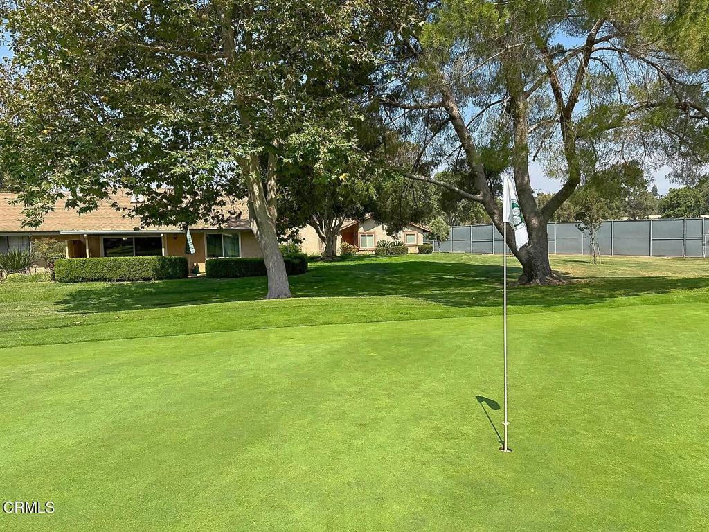 MLS #V1-31651 image #9