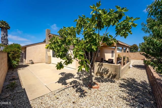 MLS #V1-31689 image #27