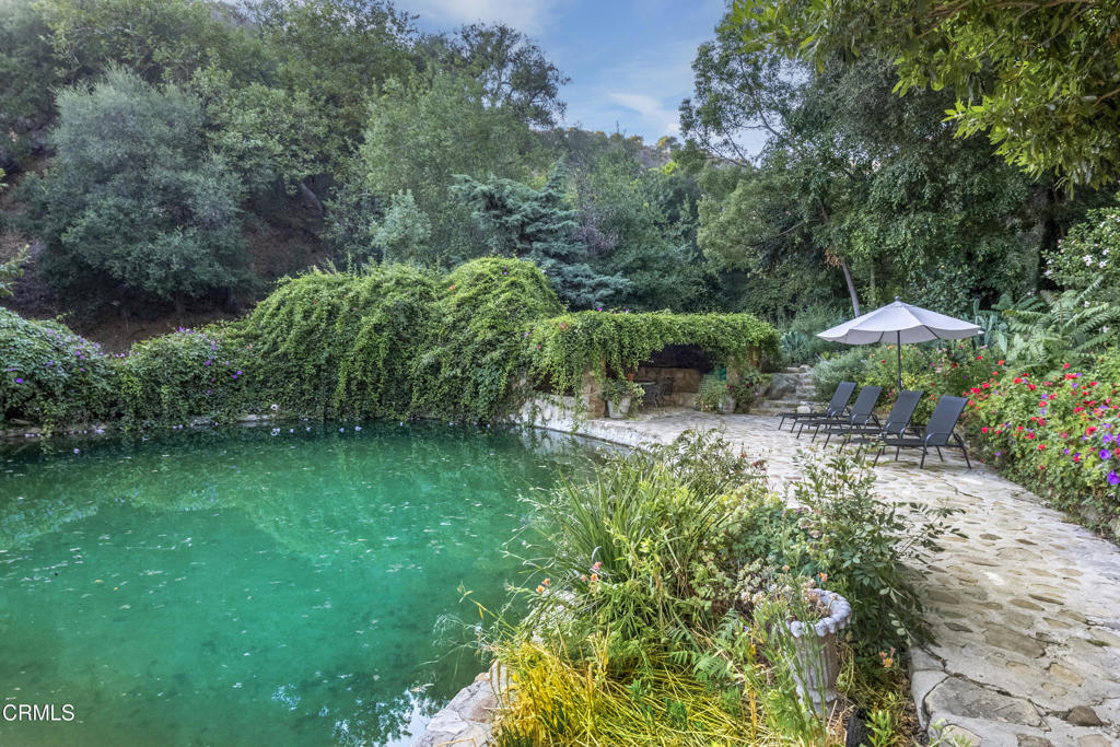 MLS #V1-31732 image #37