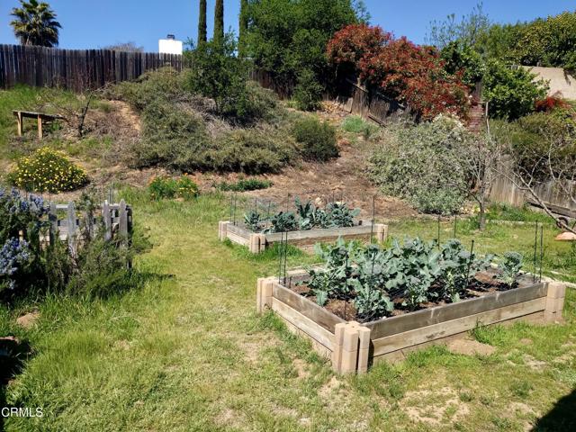 MLS #V1-31761 image #50