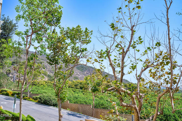 MLS #V1-31790 image #13