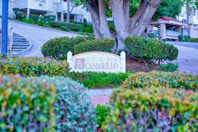 MLS #V1-31790 image #2