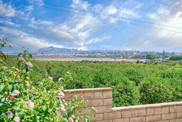 MLS #V1-31790 image #42