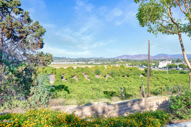 MLS #V1-31790 image #47