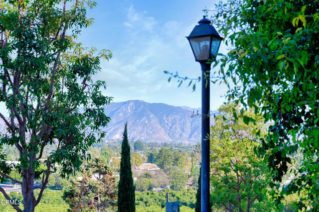 MLS #V1-31790 image #50