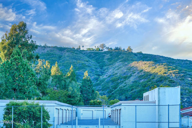 MLS #V1-31790 image #56