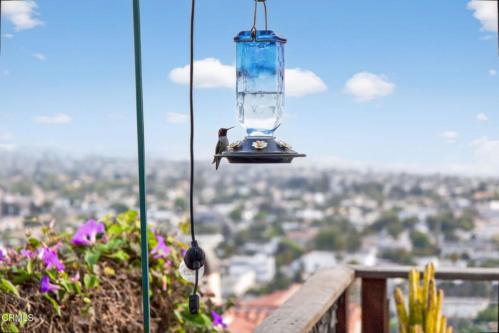 MLS #V1-31793 image #38