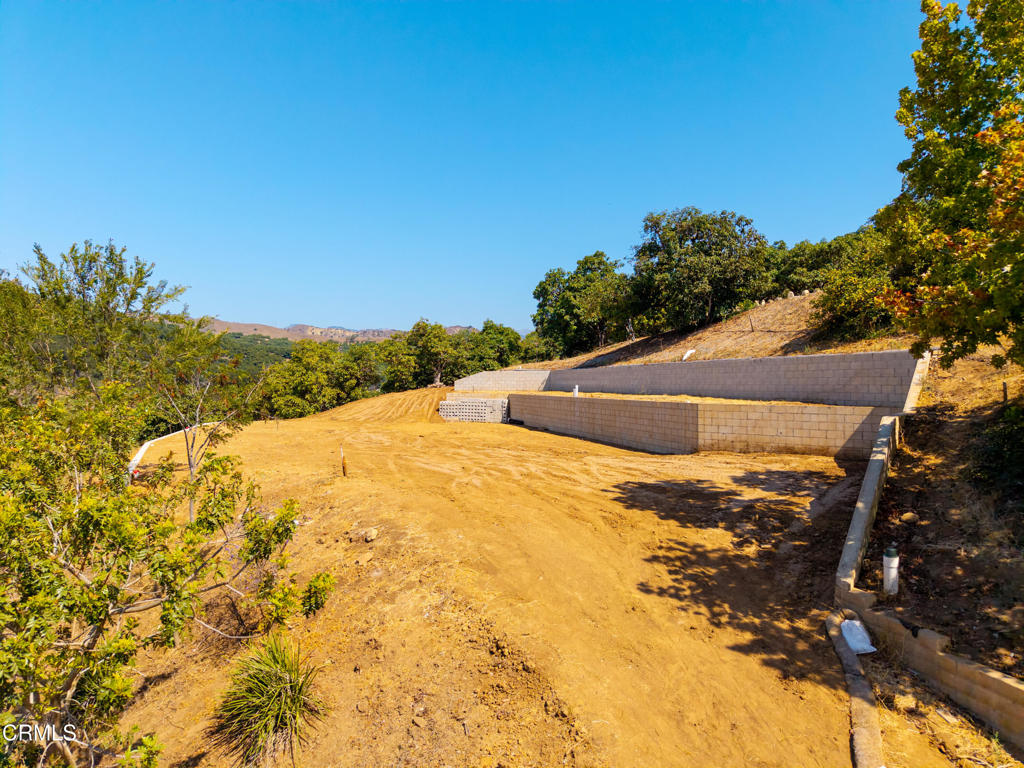 MLS #V1-31796 image #4