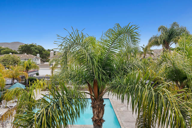 MLS #V1-31835 image #12