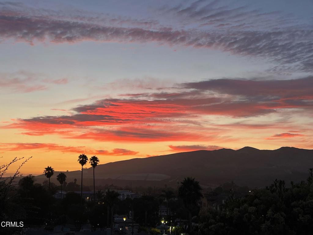 MLS #V1-31918 image #2