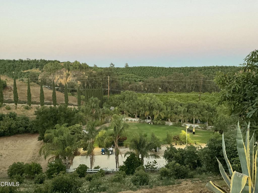 MLS #V1-31933 image #13