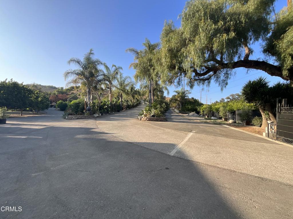 MLS #V1-31933 image #14