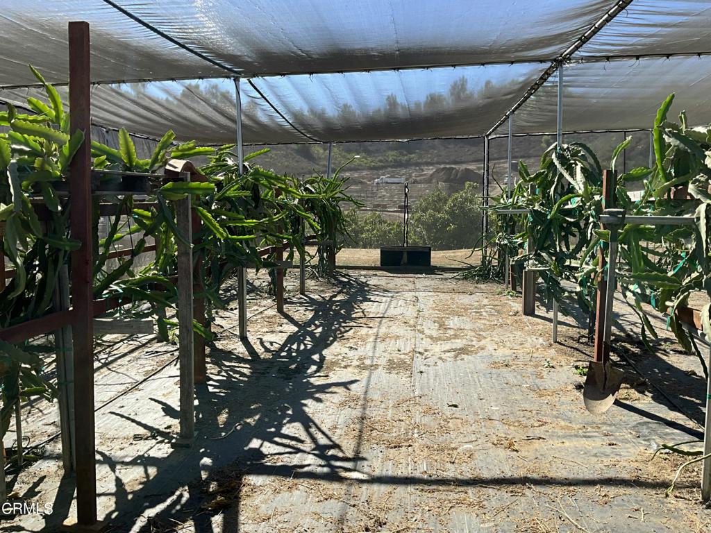 MLS #V1-31933 image #15