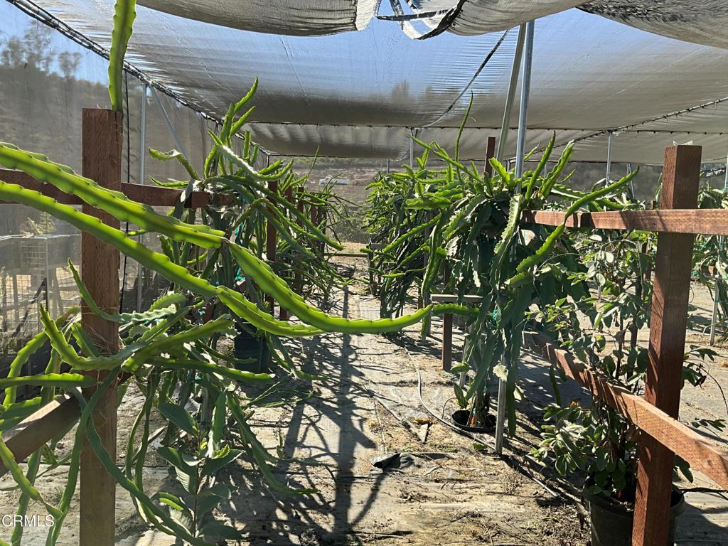 MLS #V1-31933 image #16