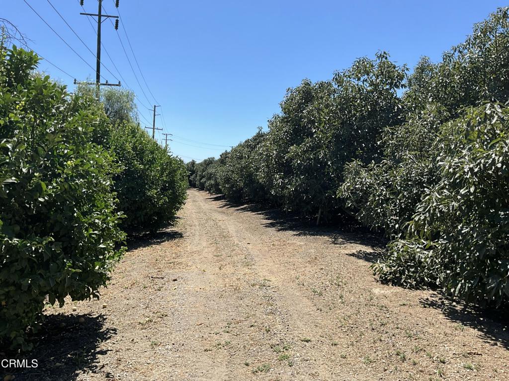 MLS #V1-31933 image #17