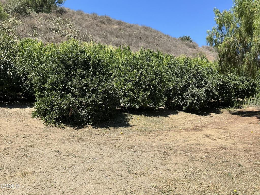 MLS #V1-31933 image #18