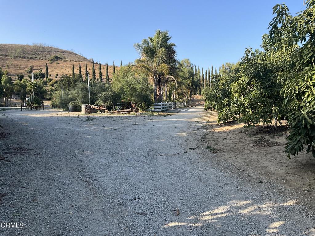 MLS #V1-31933 image #19