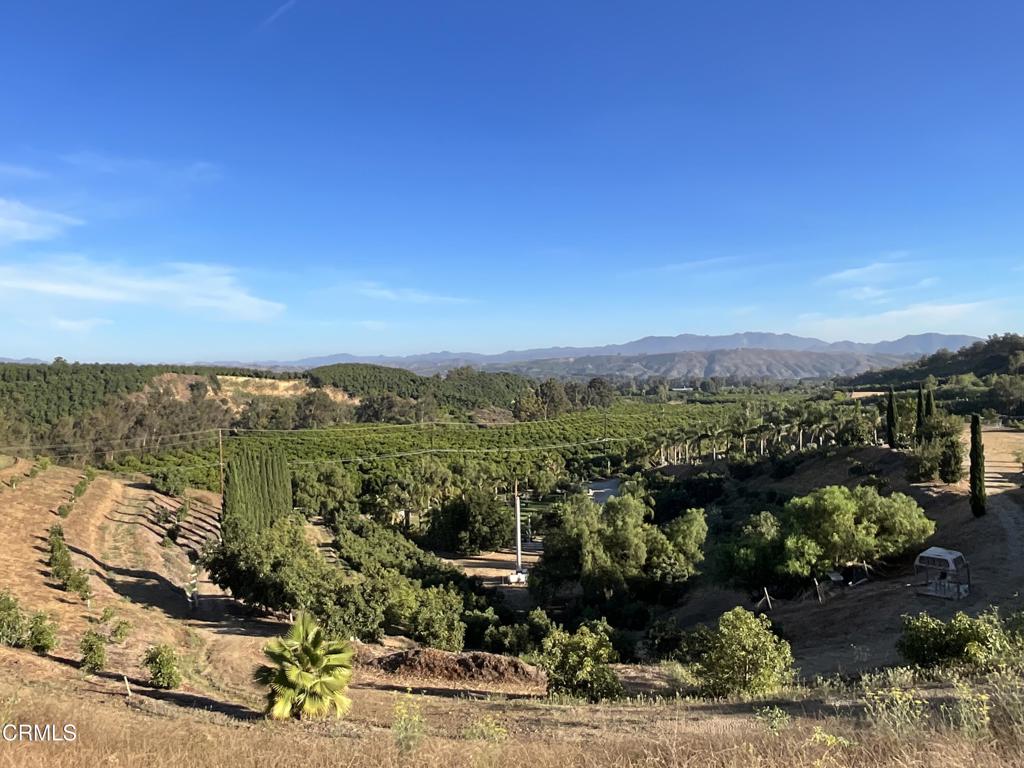 MLS #V1-31933 image #20