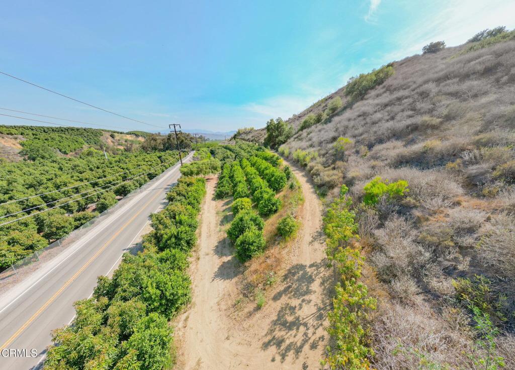 MLS #V1-31933 image #22