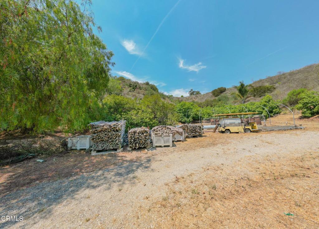 MLS #V1-31933 image #23