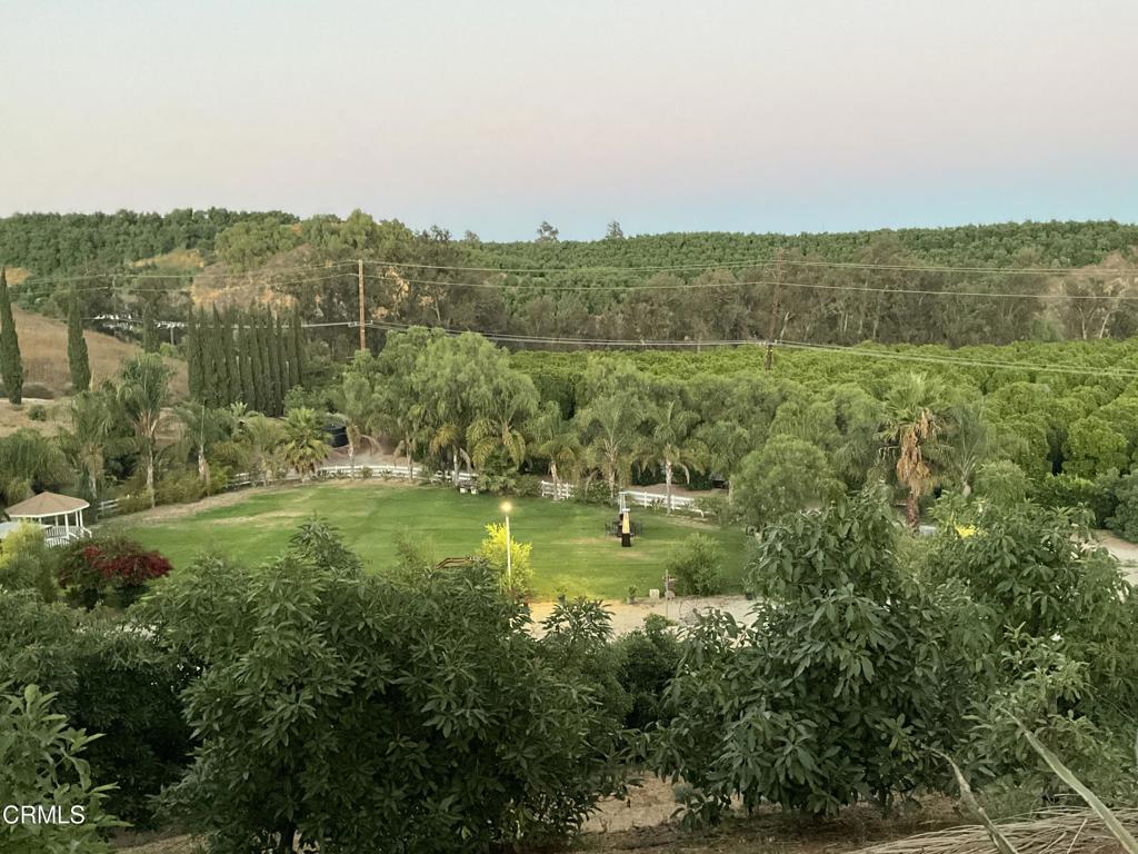 MLS #V1-31933 image #24