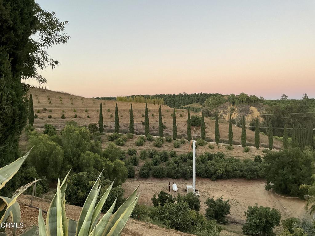 MLS #V1-31933 image #26