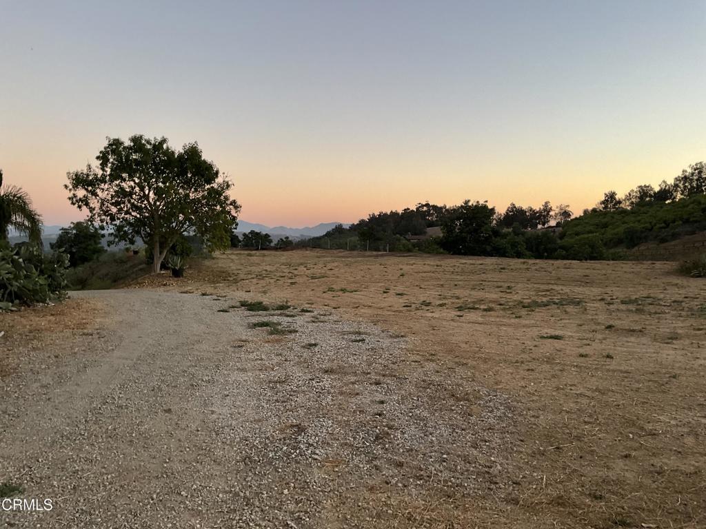 MLS #V1-31933 image #27