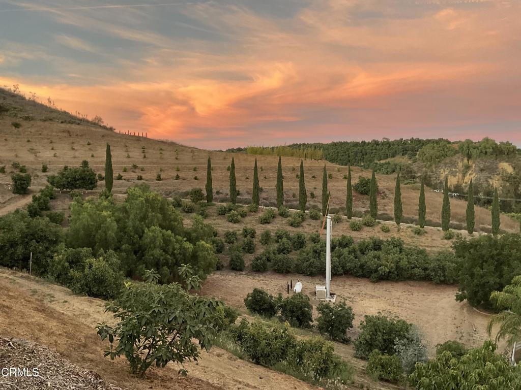 MLS #V1-31933 image #28