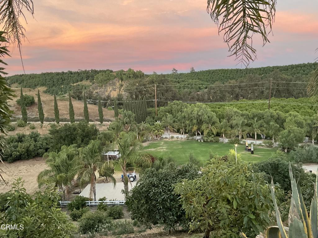 MLS #V1-31933 image #29