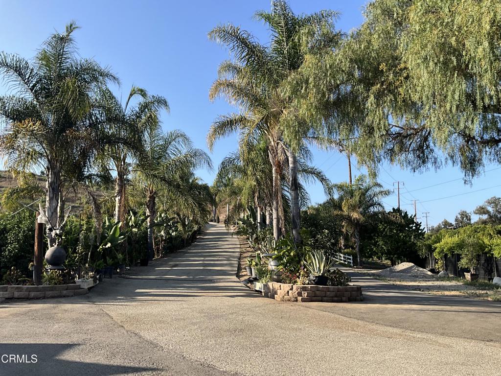 MLS #V1-31933 image #4