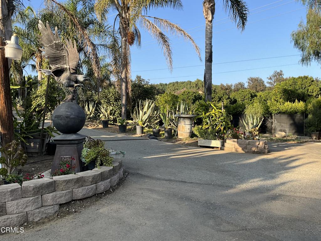 MLS #V1-31933 image #6