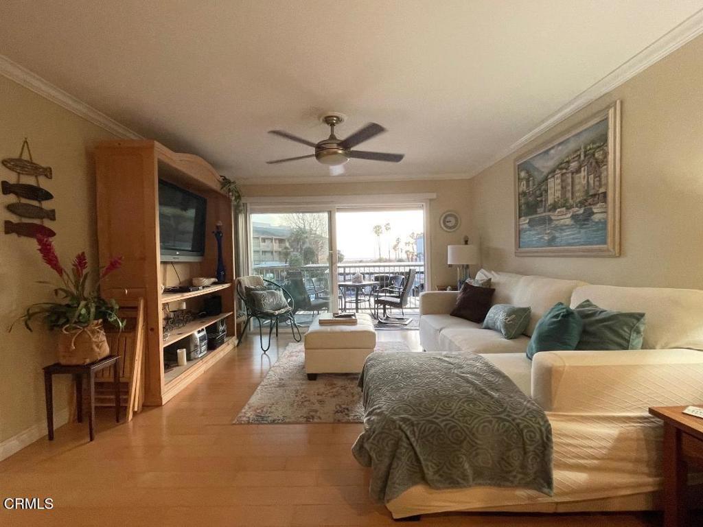 MLS #V1-31961 image #15