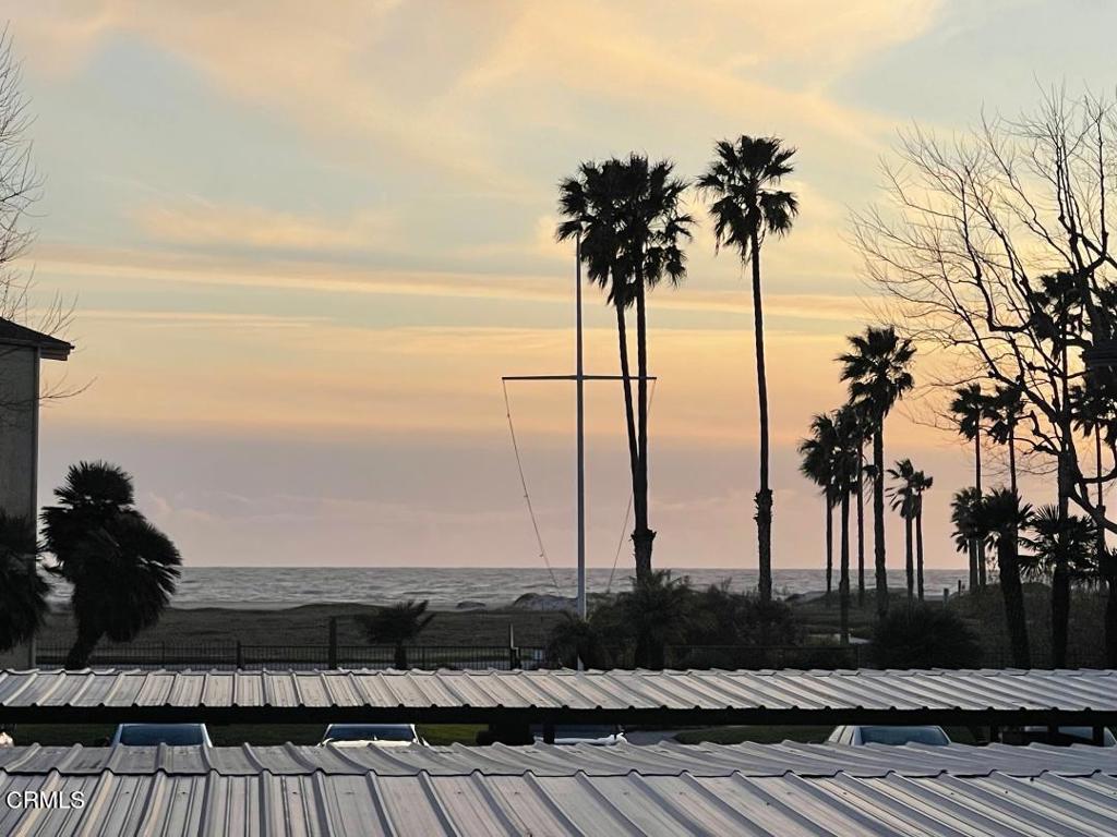 MLS #V1-31961 image #16