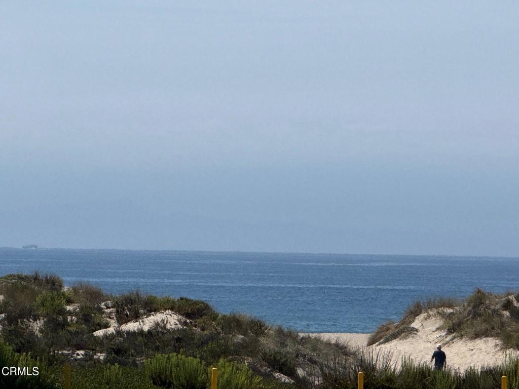 MLS #V1-31974 image #6