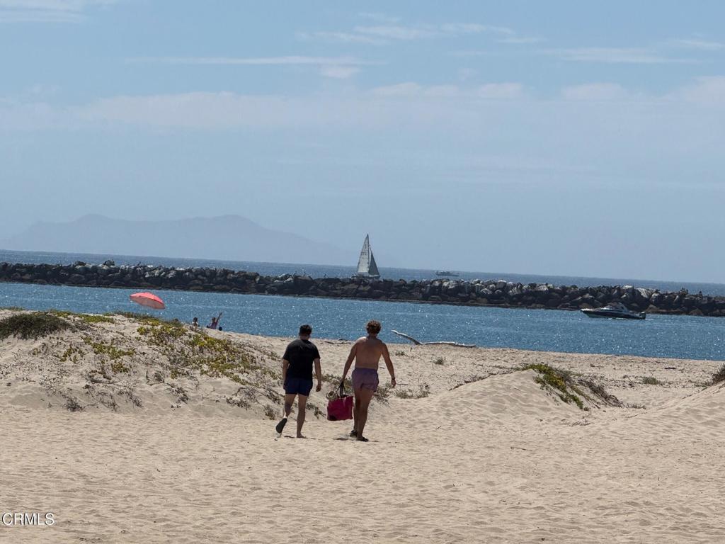 MLS #V1-31974 image #7