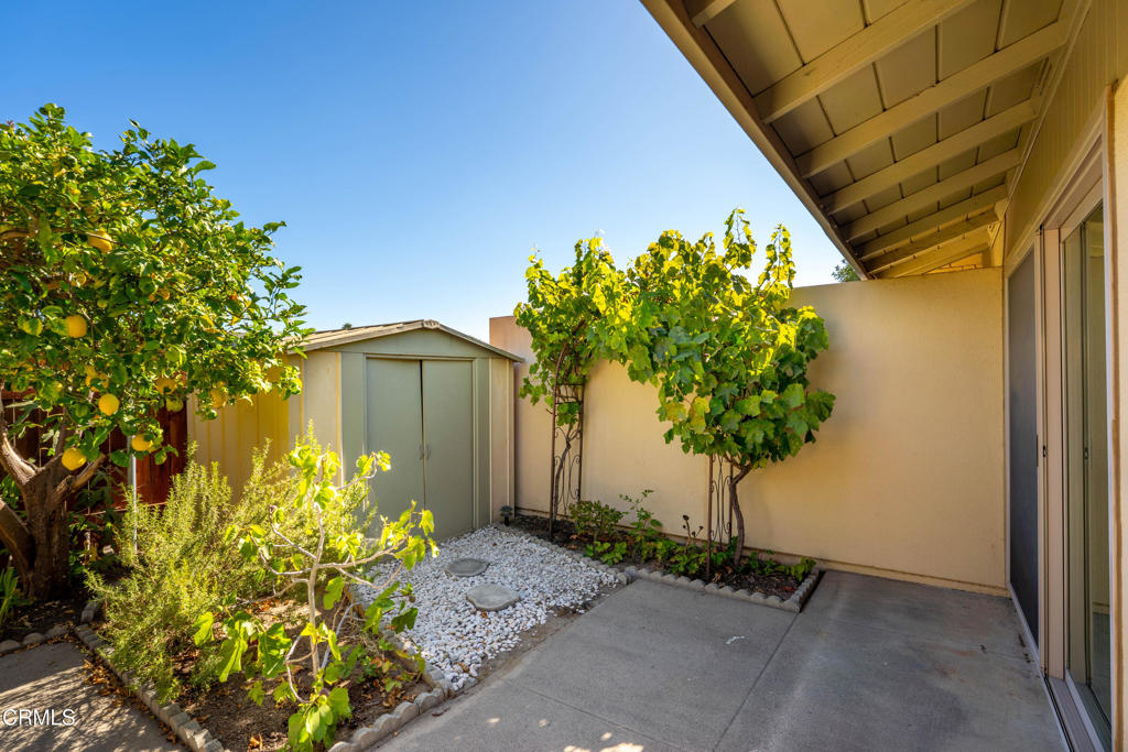 MLS #V1-31978 image #16