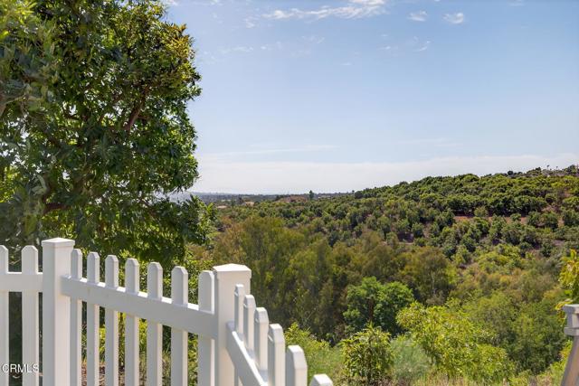 MLS #V1-31982 image #46