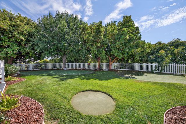 MLS #V1-31982 image #47