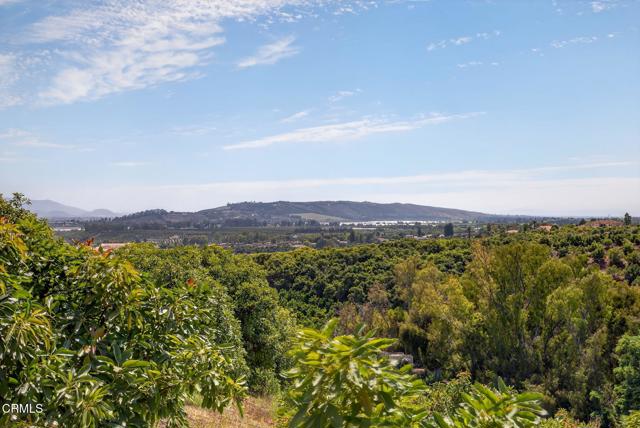 MLS #V1-31982 image #48