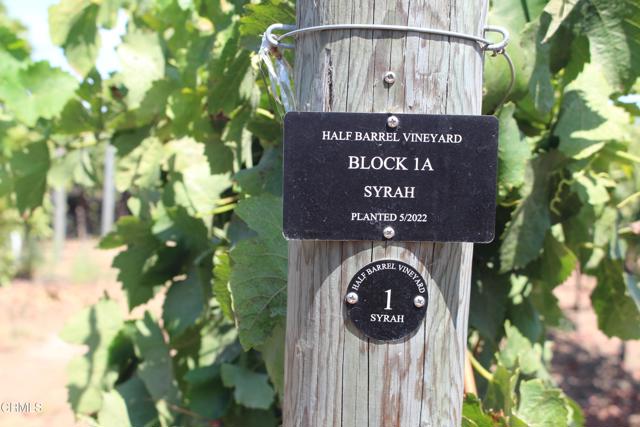 MLS #V1-31982 image #51