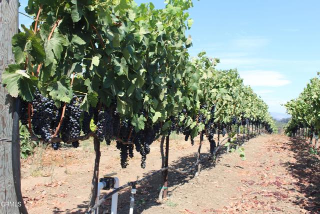 MLS #V1-31982 image #52