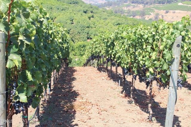 MLS #V1-31982 image #54