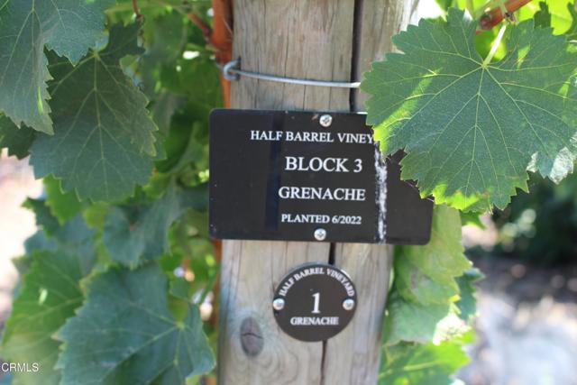 MLS #V1-31982 image #55