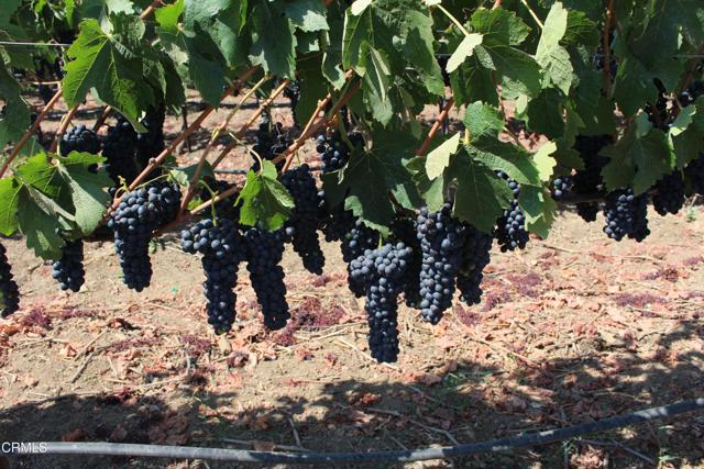 MLS #V1-31982 image #56