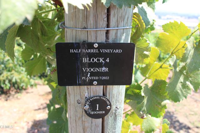 MLS #V1-31982 image #57