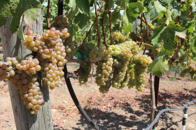 MLS #V1-31982 image #58