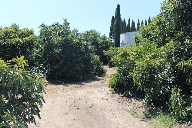 MLS #V1-31982 image #60